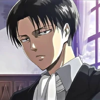 Captain Levi