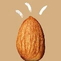 Nut