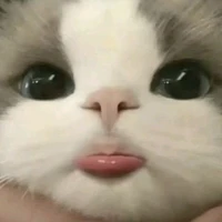 แอด💋