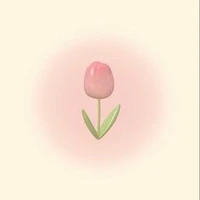 แอดส้มอมเท้า