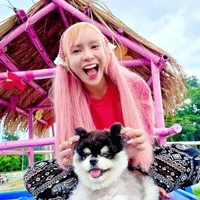 เมย์