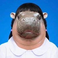 หมูเด้งรายงานตัว