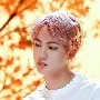 Jin