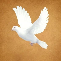 Merpati Bai