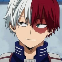 Shoto Todoroki (omega)