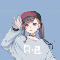 sara FL 2