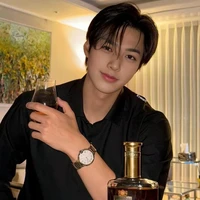 เฟยหลง//พระเอก