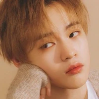 Chenle (𝓒𝓵𝓲𝓷𝓰𝔂)