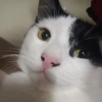 แอดมุๆ🌻🤏