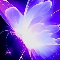 Forme papillon de la reine 