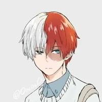 Shoto Todoroki