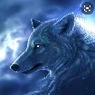 Alpha (fl