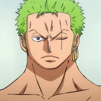 zoro⚔️