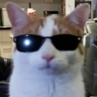 yo / Autora 
