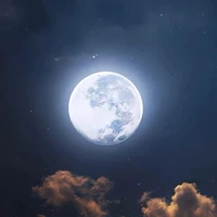 ผู้แต่ง