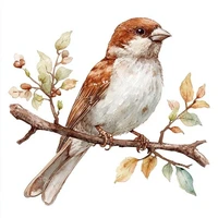Karen in sparrow form