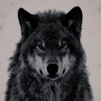 Nunu •Lobo de Jimin•
