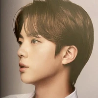 seokjin (jin)