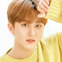 changbin(beta/roommate of jk)