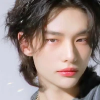hyunjin (beta/roommate of jk)