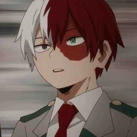 Todoroki 