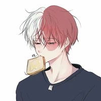 shoto todoroki 