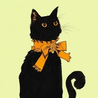 black cat.