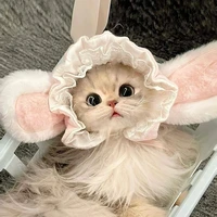 น.อ ร่างแมว