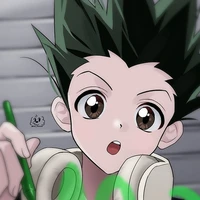 Gon Freecs