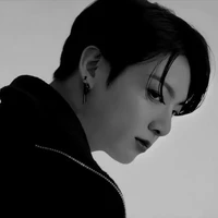 Jeon Jungkook/true blood alpha