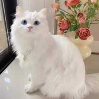 ลาร่า