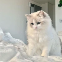 พลูโต