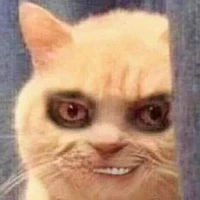 แอดเอง