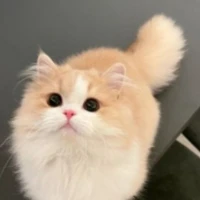 ฮานะ