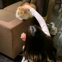 Y/N