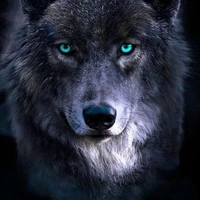 lobo tae-hung