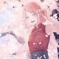 sakura
