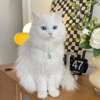 Estrella