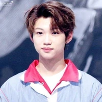 lee felix -omega-