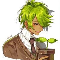 mashiho hideki