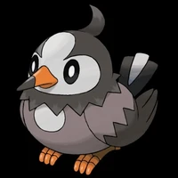 starly
