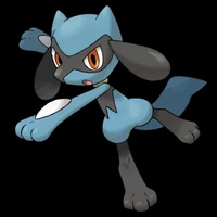 riolu