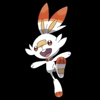 scurbunny
