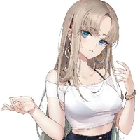Y/N