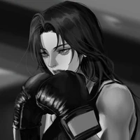 auteur 🥊