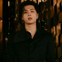 Park Jongseong Jervian