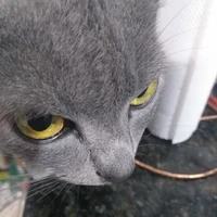 Autora/Eu