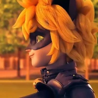 Chat noir Bueno