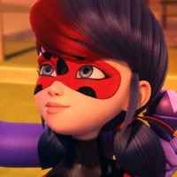 Ladybug
