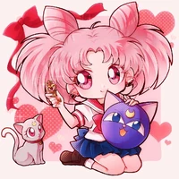 CibbiUsa